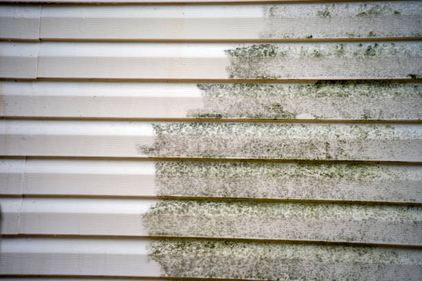 Best Demolition Debris Removal  in Joplin, MO