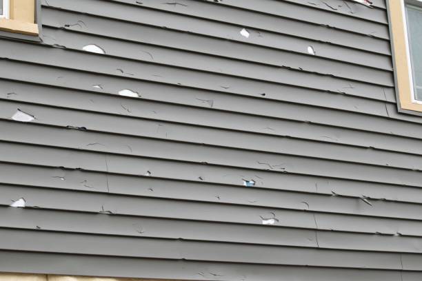 Best Shed Removal  in Joplin, MO