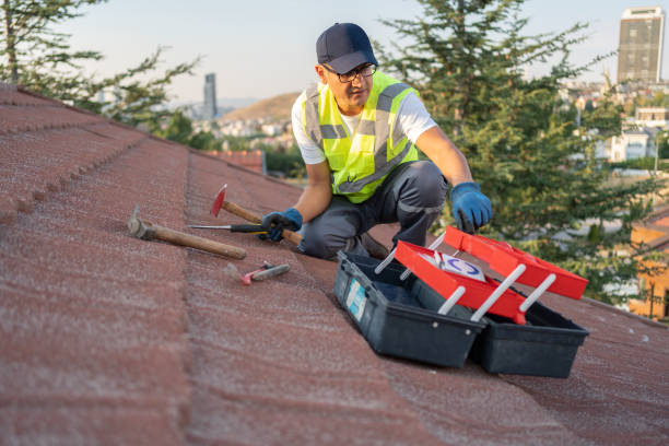 Best Yard Waste Removal  in Joplin, MO